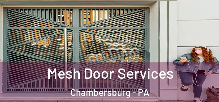 Mesh Door Services Chambersburg - PA